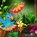 Stuck Macaw Reached Hut