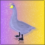 Anas Platyrhynchos Escape