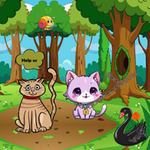 Assist Couple Of Wild Cats