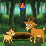 Assist Mom Goat Rescue Infant