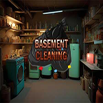 Basement Cleaning