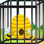 Bee Hive Rescue