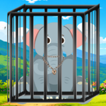 Big Tusk Rescue
