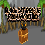 Black Cat Rescue From Wood Box