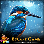 Blue Kingfisher Escape