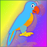 Blue Parrot Escape From Cage