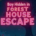 Boy Hidden In Forest House Escape