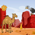 Camel Looking For Her Young