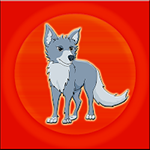 Canis Latrans Rescue From Cage