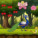Care Of The Hurt Peacock