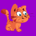 Cat Rescue From Cage