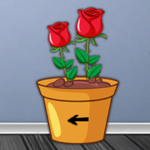 Cheerful Orange Escape Adventure