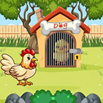 Chick Trapped In Dog Cabin
