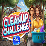 Cleanup Challenge