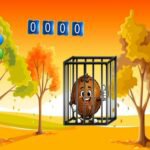 Coco Shell Rescue