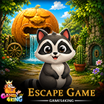 Curious Raccoon Escape