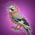 Cute Jay Bird Rescue