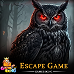 Dark Owl Twilight Terror Escape