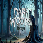Dark Woods Escape