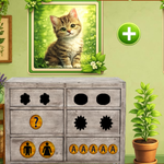Discover The Green Fresh Leaves