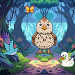 Discovering Quail Eggs Nest