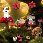 Doglets Return To The House