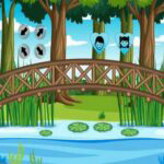 Drenched Squirrel Rescue