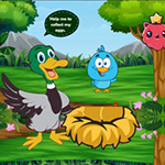 Duck Collect Stolen Eggs
