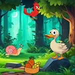 Duck Ready For Friends Hangout