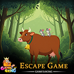 Energetic Brown Cow Escape
