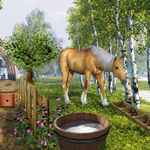 Escape Game Mystery Park