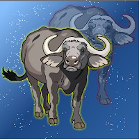 Escape The Cape Buffalo Games2Jolly
