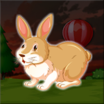 Escape The Lovable Pet Rabbit
