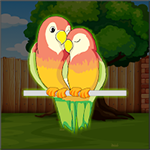 Escape The Lutino Lovebird From The Cage