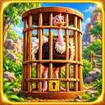 Escape The Masai Ostrich From The Cage