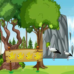 Escape The Trapped Whale