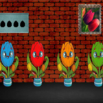 Escape The Tulip Flower