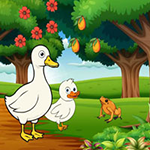 Feed Hungry Duck Family