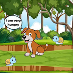 Feed The Dog Meal