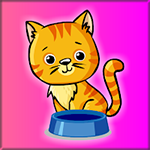 Feed The Hungry Sokoke Cat