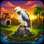 Feed The Starving Palm Vulture