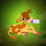 Find A Bottle Of Milk For The Calf