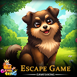 Find Cute Pet Dog Escape