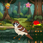 Find Hidden Sparrow Nest