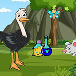 Finds The Ostrich Eggs