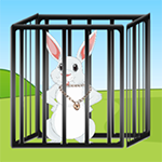 Fluffy Rabbit Escape