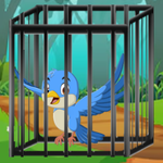 Forest Blue Bird Rescue