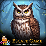 Forest Owl Escape