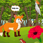Fox Reach Tasty Vineyard