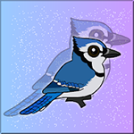 Free The Blue Jay Bird